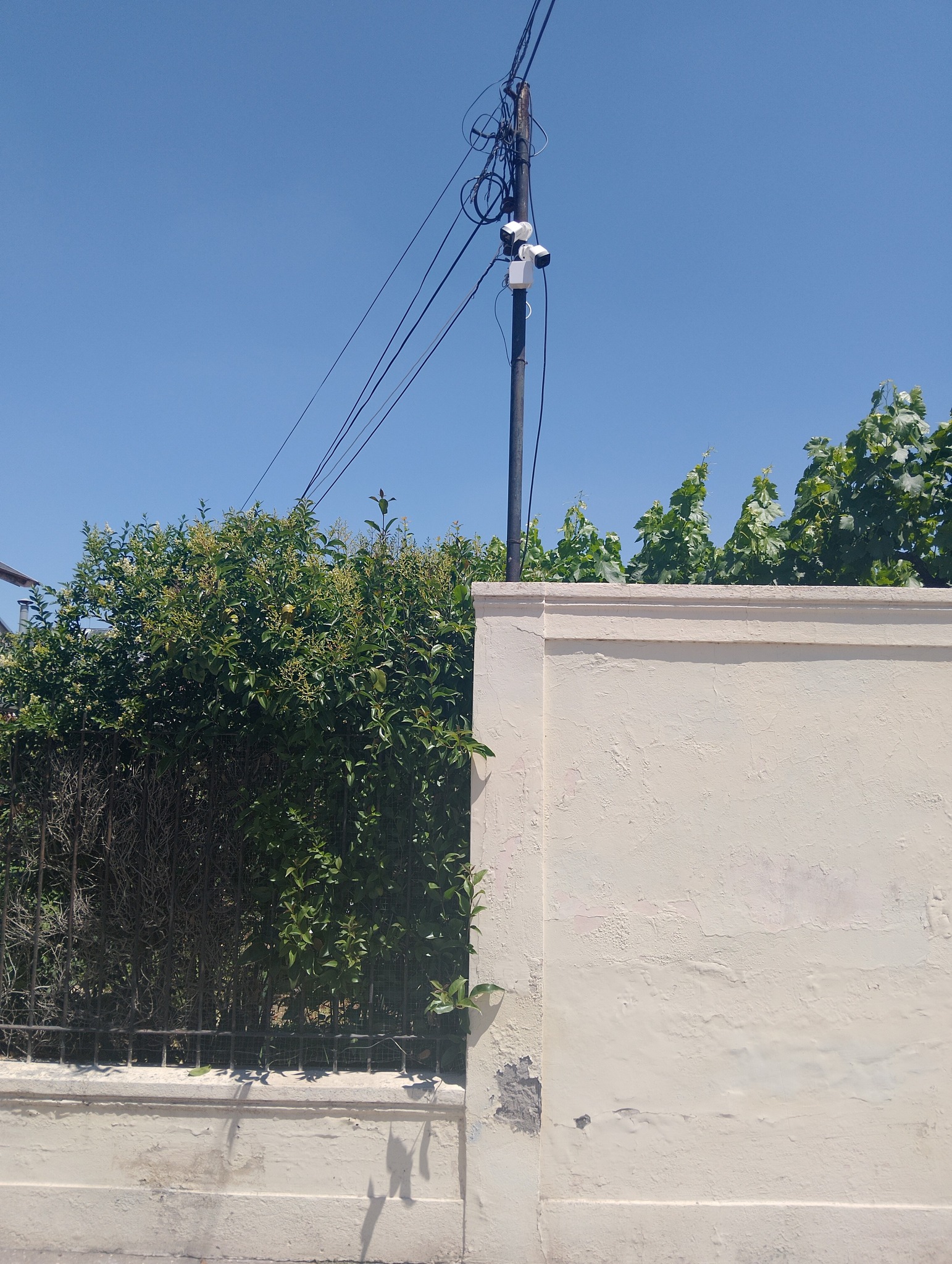 574868152_734361216331697_8948703253462396530_n